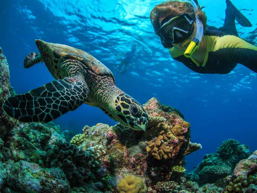 A snorkeler taking a selfie with a green sea turtle