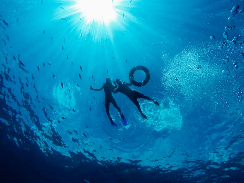 couple is snorkeling in the ocean. diving. underwater