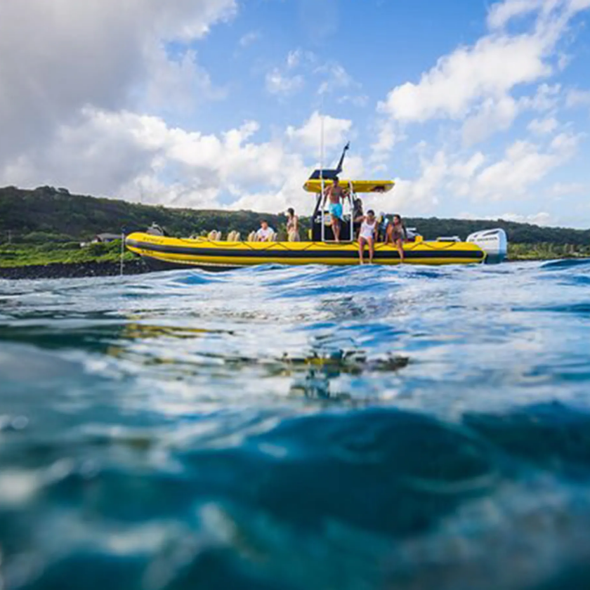 Ocean Outfitters Hawaii - North Shore Speed Boat Private Charter