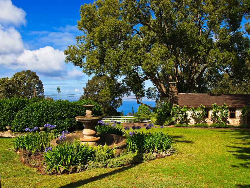 The garden at Tedeschi Vineyard, Maui's winery