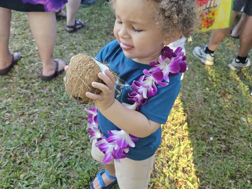 Toa Luau