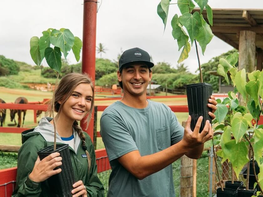 Tree Planting - Gunstock Ranch