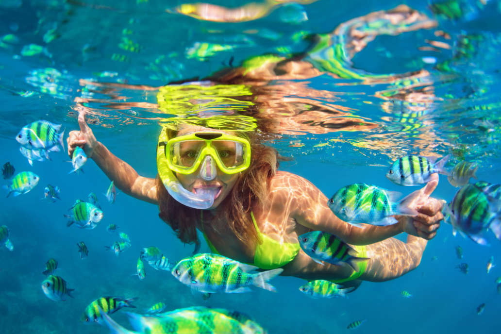 Explore Hawaii's underwater world on a snorkel tour