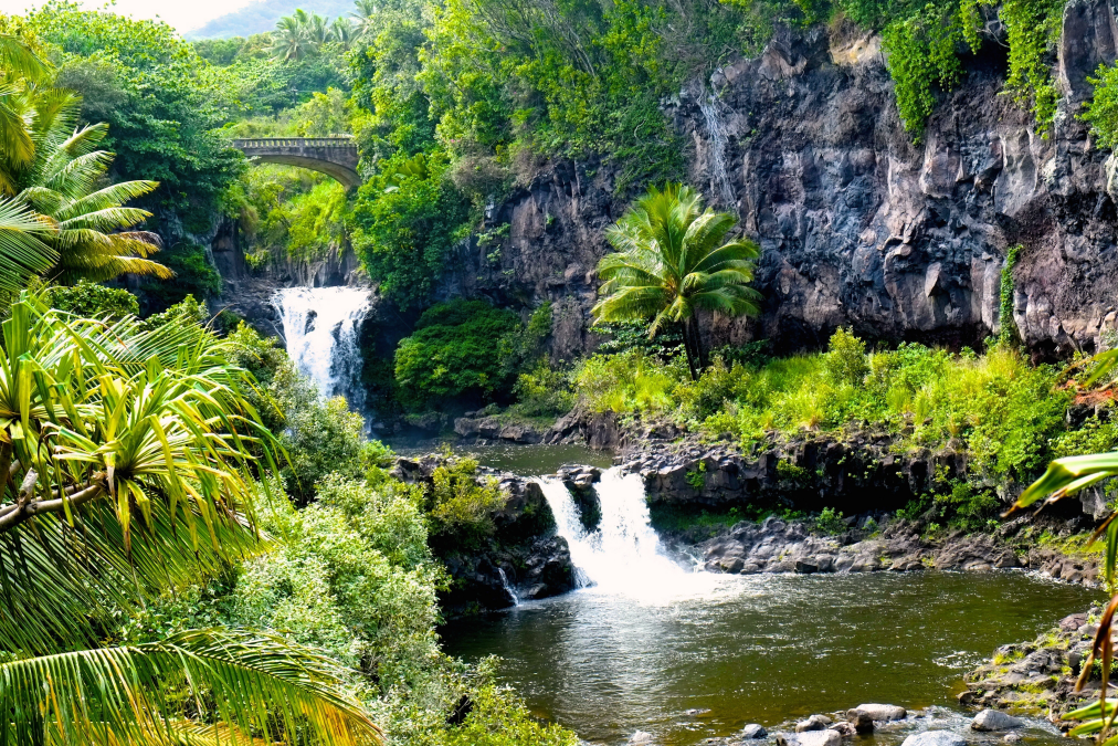 Road to Hana - Unique Things to Do in Maui