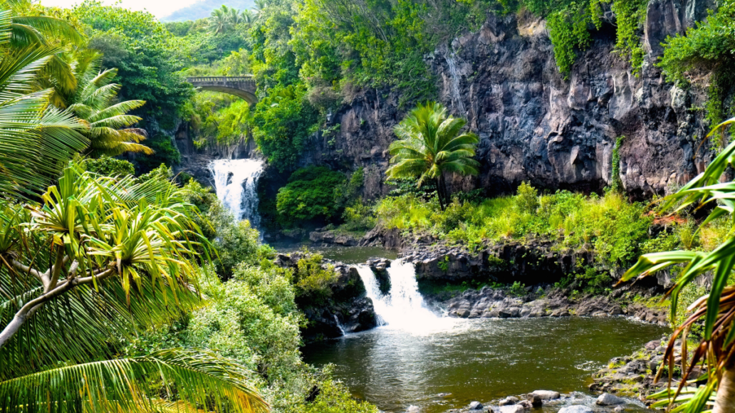 Road to Hana - Unique Things to Do in Maui