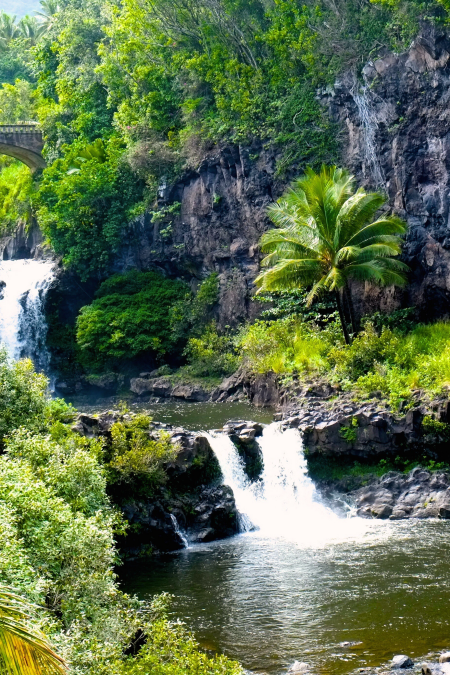 Road to Hana - Unique Things to Do in Maui