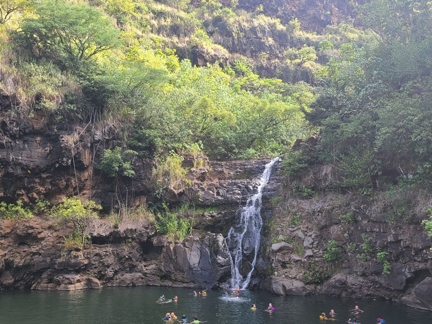 Top 5 Must-Visit Stops on Your Waikiki to North Shore Shuttle Journey