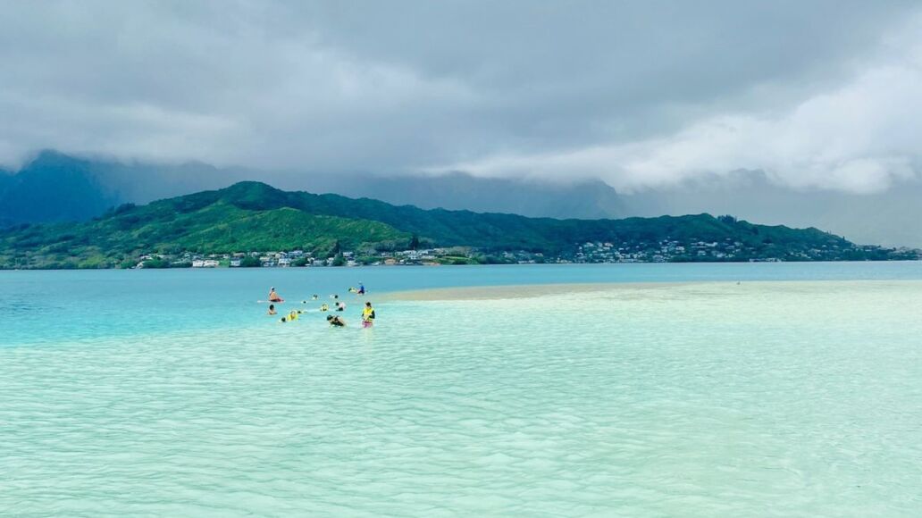 Best Kaneohe Sandbar Tours 2025: Captain Bruce vs KBOS vs Captain Bob