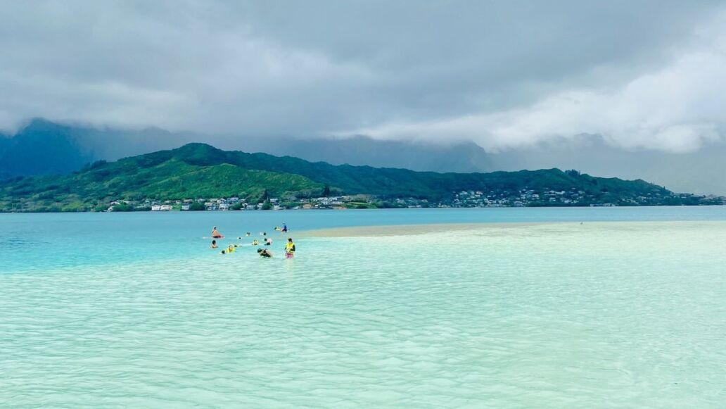 Best Kaneohe Sandbar Tours 2025: Captain Bruce vs KBOS vs Captain Bob