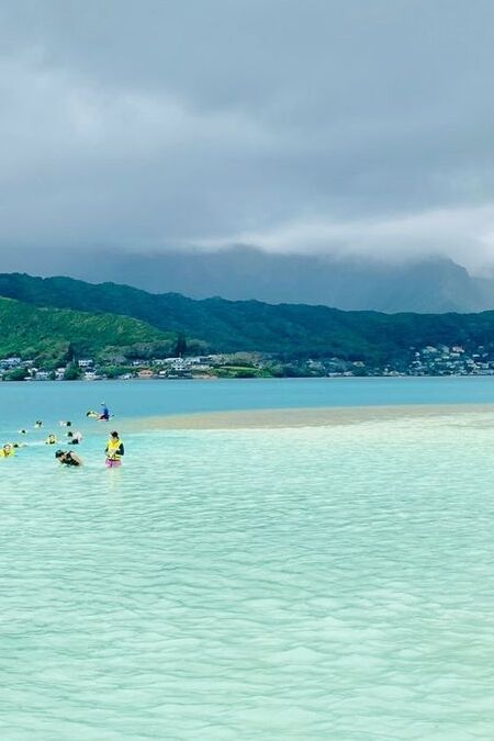 Best Kaneohe Sandbar Tours 2025: Captain Bruce vs KBOS vs Captain Bob