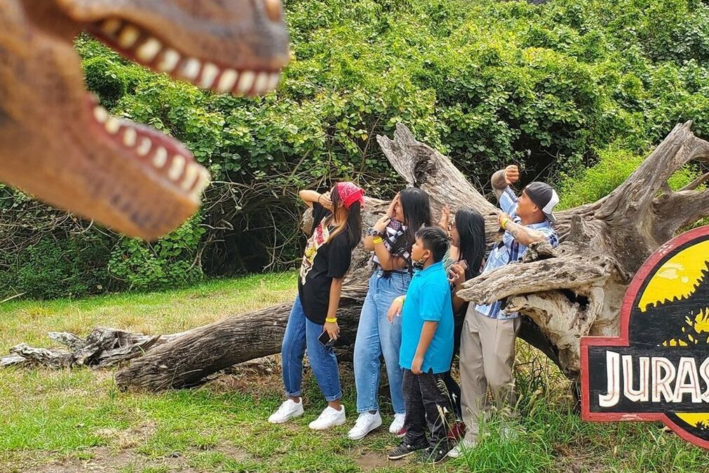 Best Kualoa Ranch Tours for Families with Kids: Age Guidelines & Tips