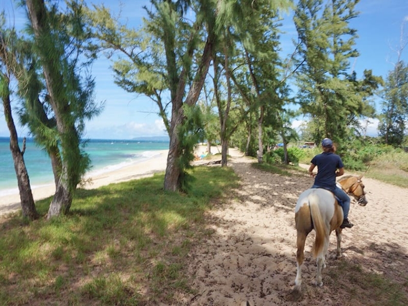 Horseback Riding