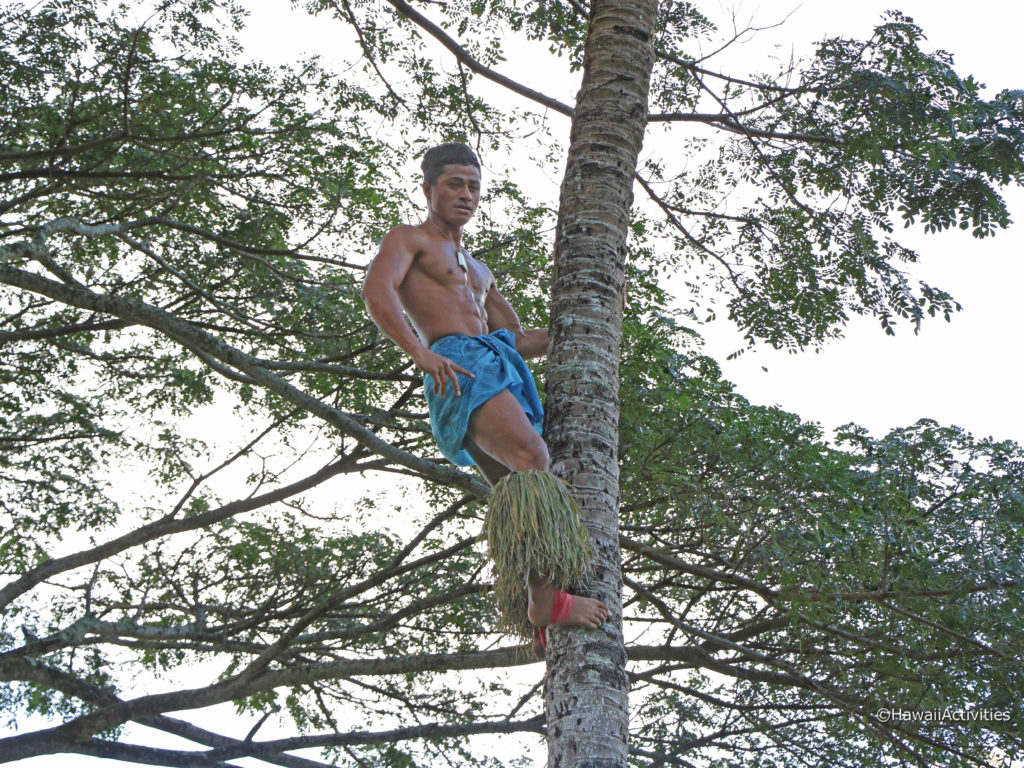I was amazed by how fast he was able to climb this tree