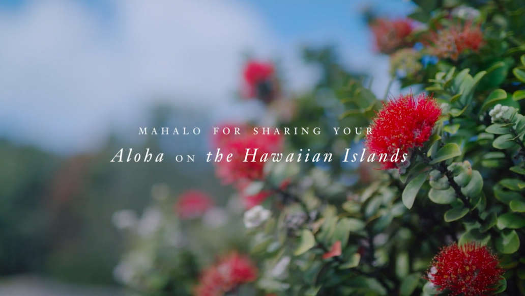 Hawaii Travel Tips: Culture