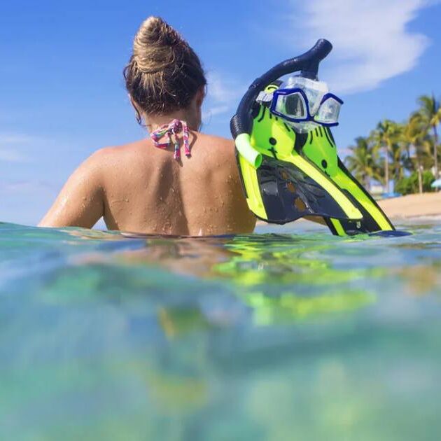 Waikiki Guided Beach Snorkeling Tour for Beginners