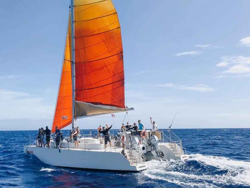 Waikiki Turtle Canyon Snorkel Tour - Holokai Catamaran Sail