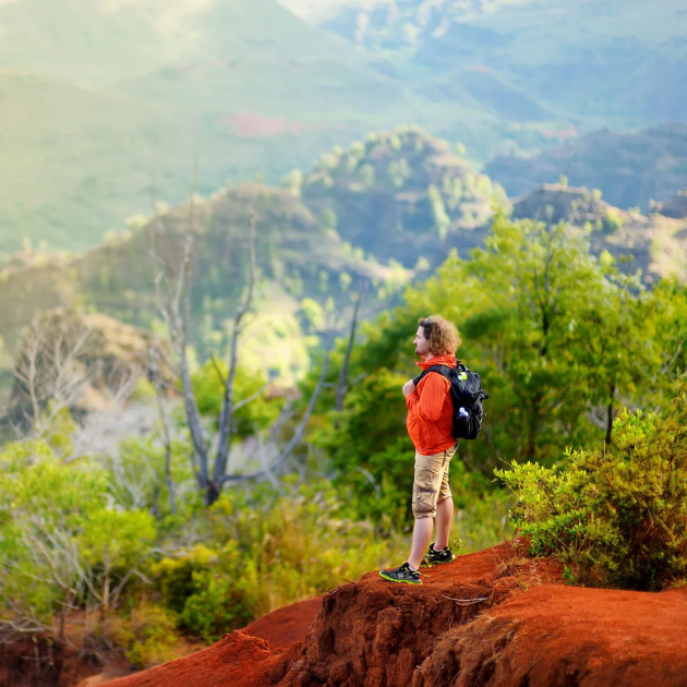 Waimea Canyon Waipoo Waterfall Hike