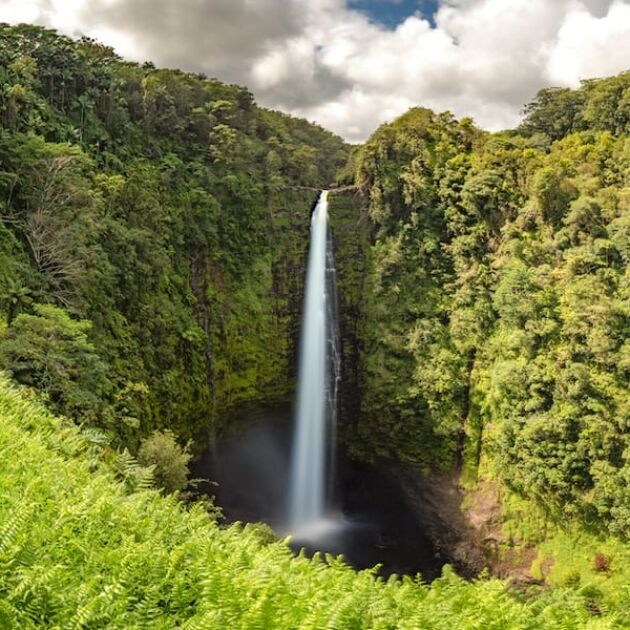 Waterfall Swim, Waipio Valley Lookout, & Botanical Garden Tour