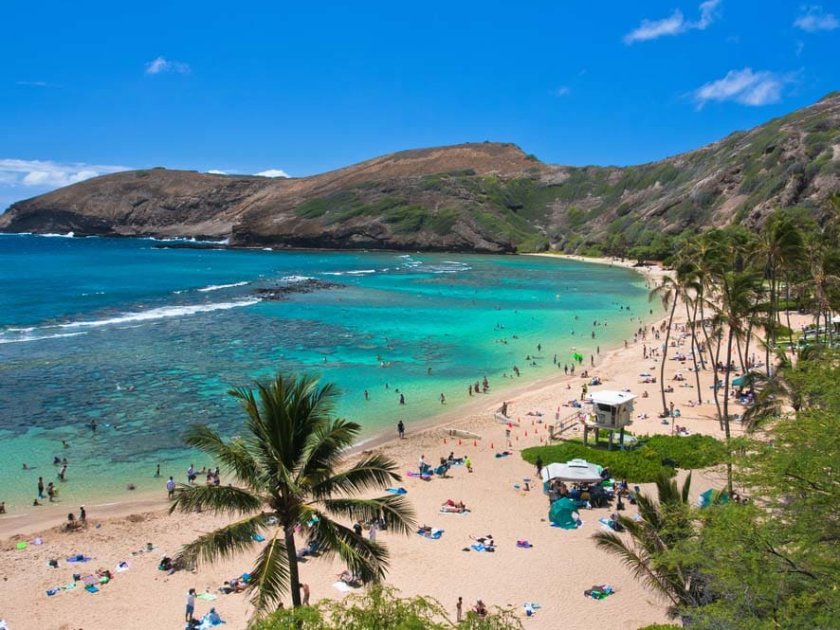 Wide View of Hanauma Bay