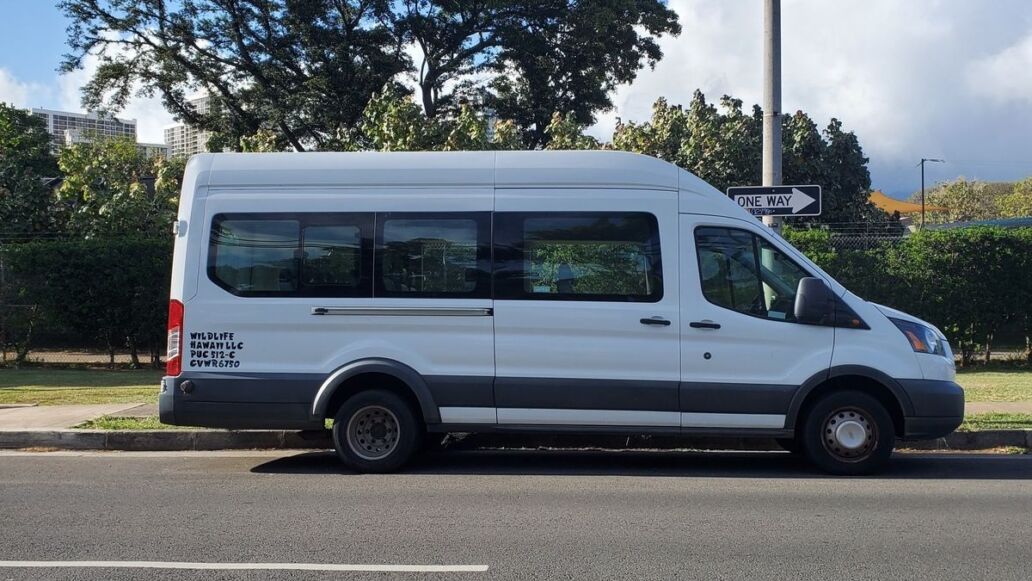 North Shore Round-Trip Shuttle from Waikiki to Haleiwa Town