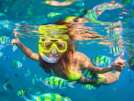 Woman snorkeling surrounded by fish
