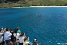 West Oahu Dolphin Watching Tour