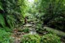 Eco-Tour Hiking