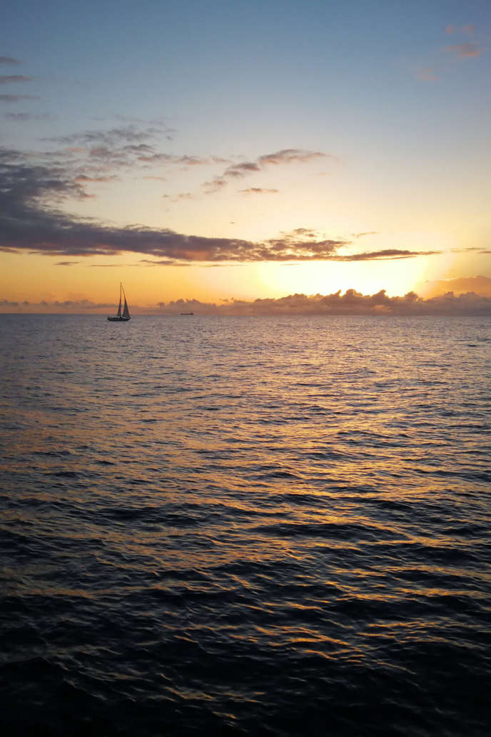 Star of Honolulu's Five-Star Dinner Cruise