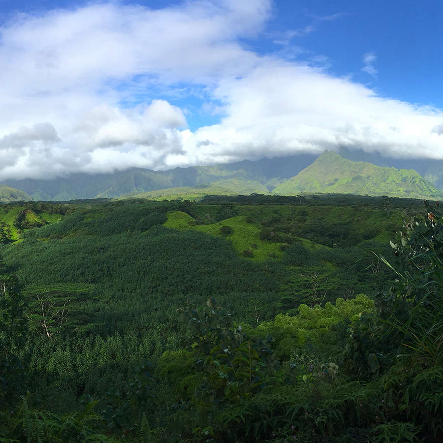 Adventures in Kauai