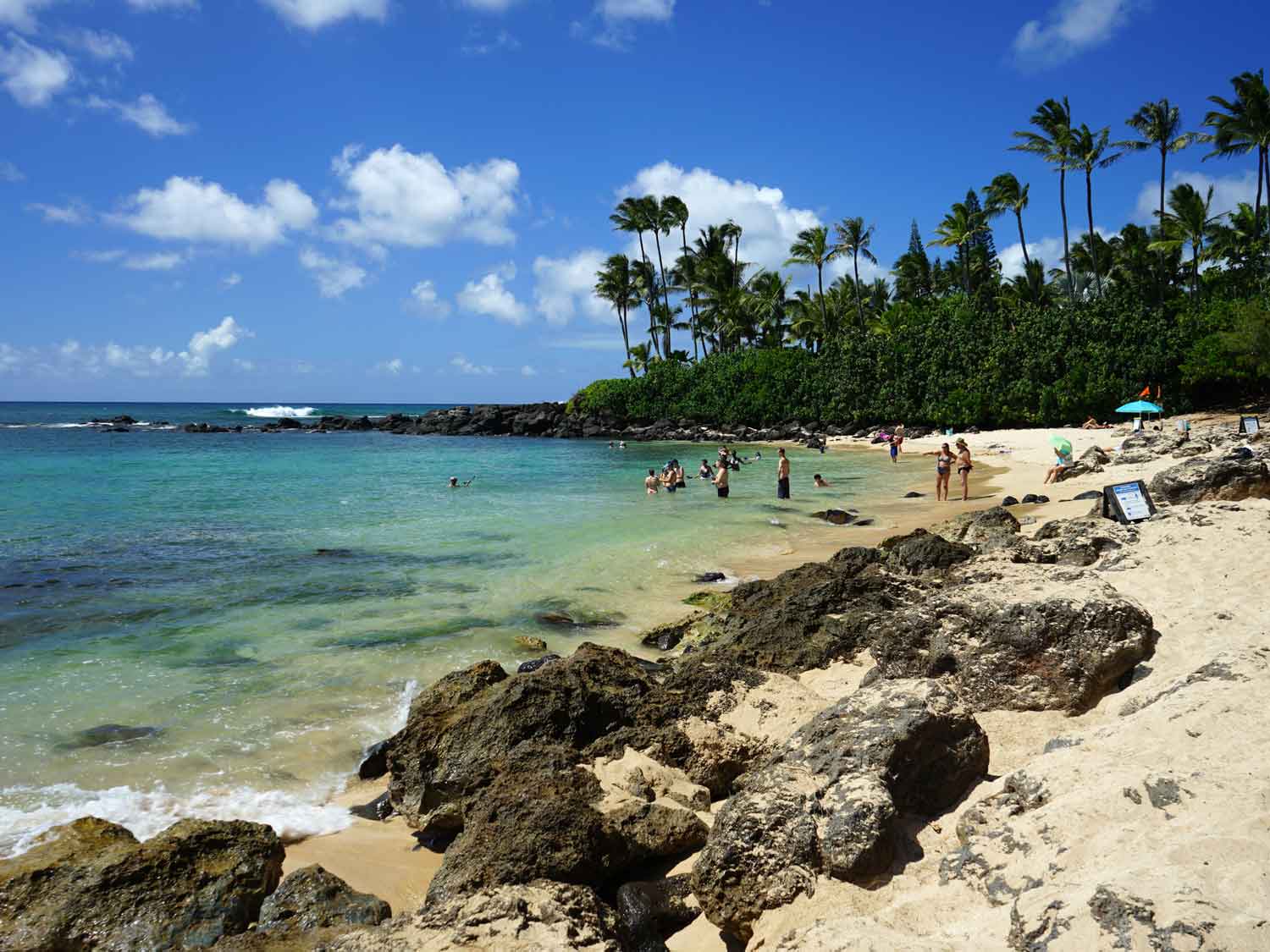 Laniakea Beach - Hawaii Travel Guide 