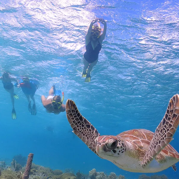 boat tours hawaii