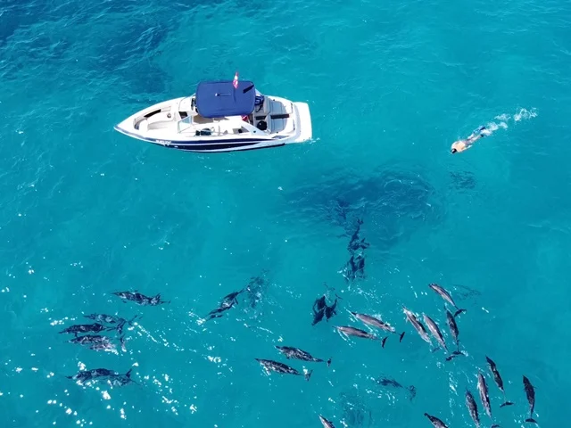Kealakekua Bay Private Snorkel & Dolphin Watch Cruise