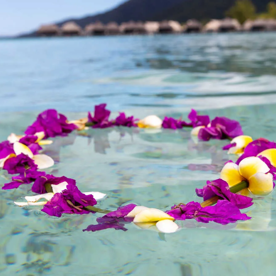 boat tours hawaii