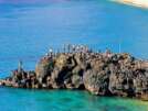 Waimea Bay Jump Rock
