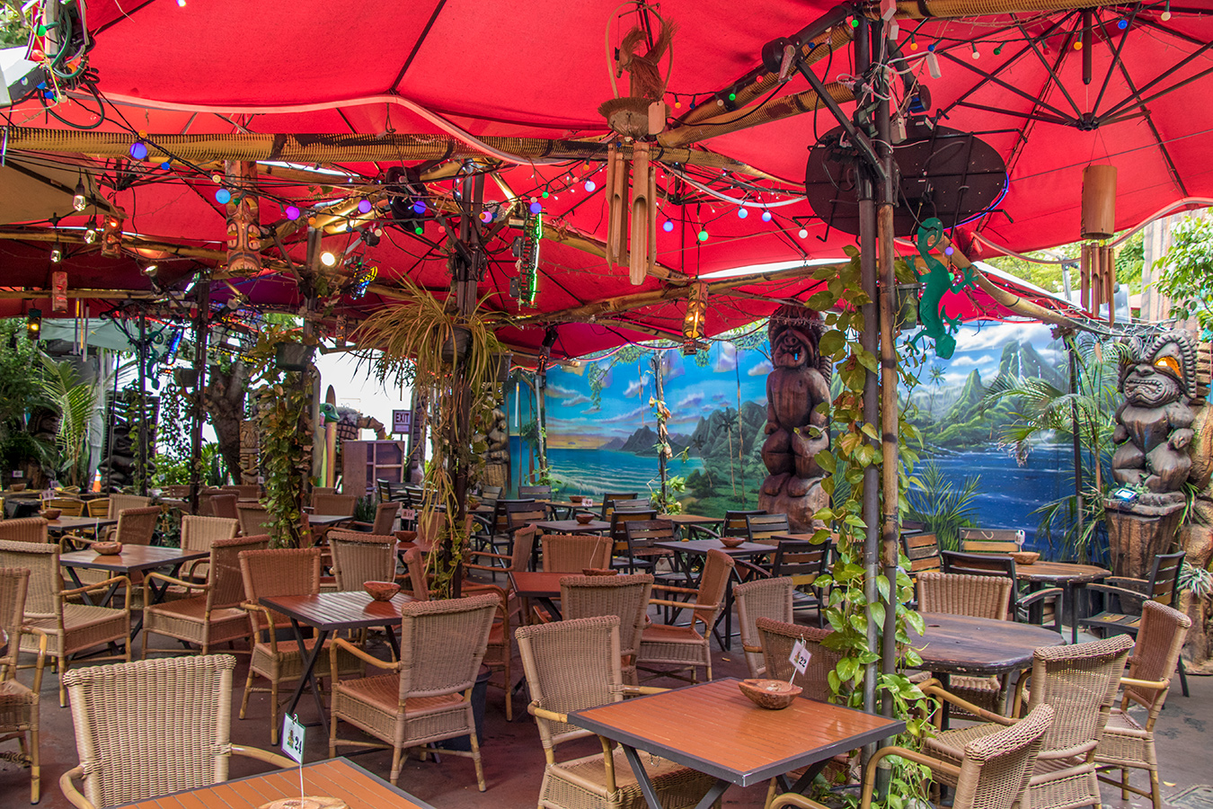 Finding Waikiki's Best Mai Tai—Part 5 Cuckoo Coconuts Hawaii Travel