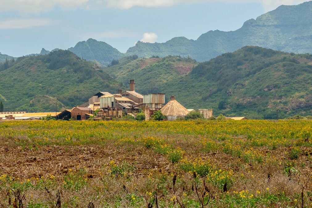 Abandoned,Kauai,Sugar,Mill