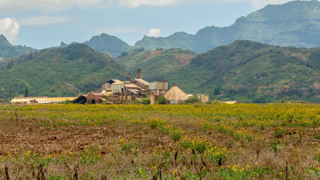 Abandoned,Kauai,Sugar,Mill