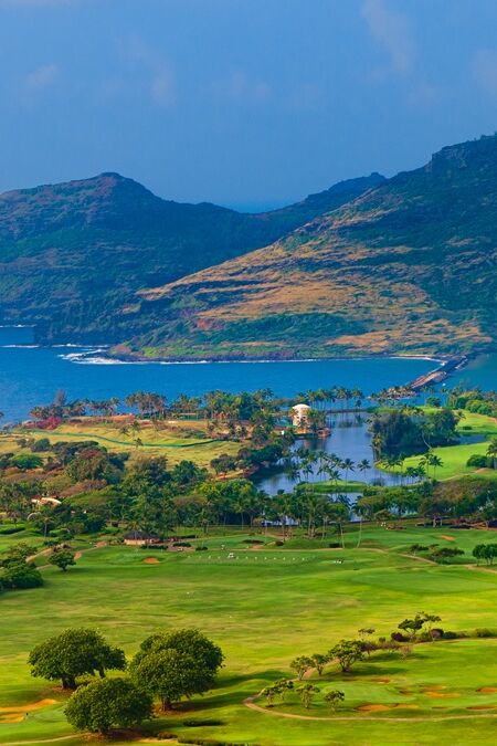 Kauai offers cruise passengers a paradise of lush landscapes, dramatic coastlines, and rich cultural experiences. However, to fully enjoy your shore excursions, avoiding common pitfalls is essential. Here are insider tips to help you make the most of your visit.