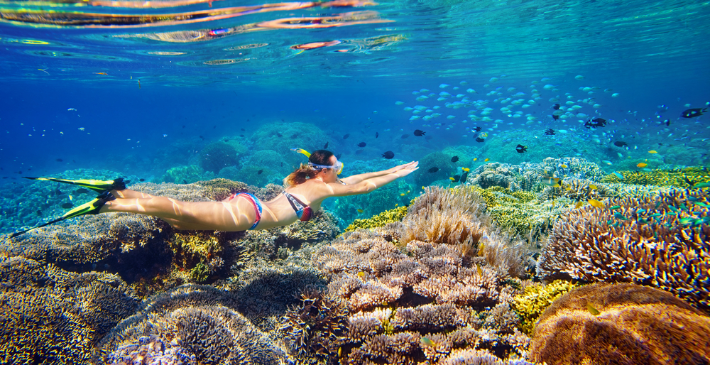 Turtle Canyon in Waikiki is known as a favorite sea turtle spot