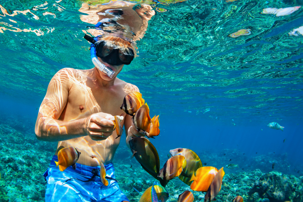 Snorkeler with the colorful fishes underwater