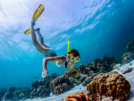 Snorkeling