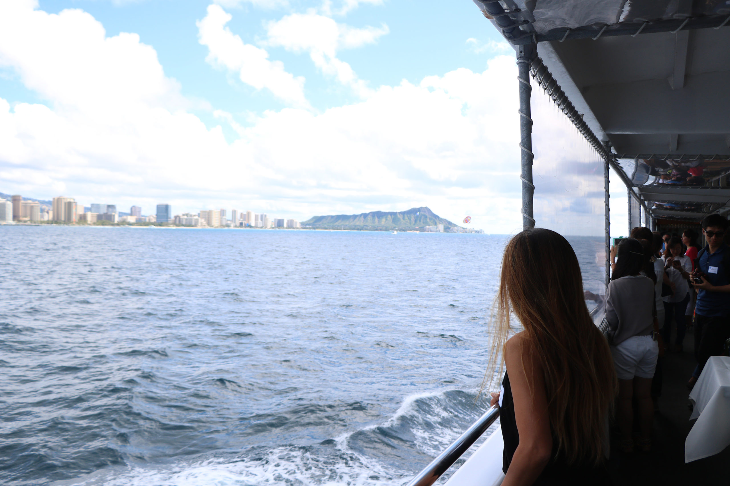 honolulu star whale watching cruise