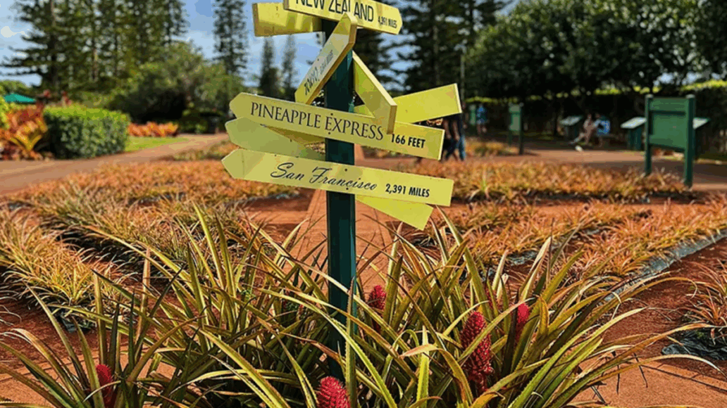 Dole Plantation