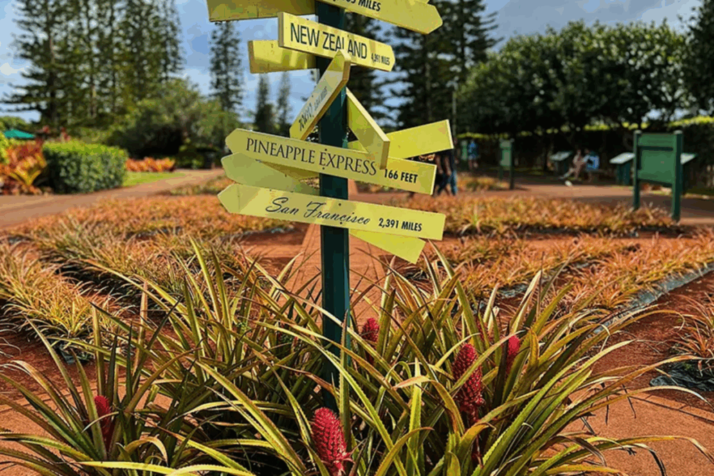 Dole Plantation