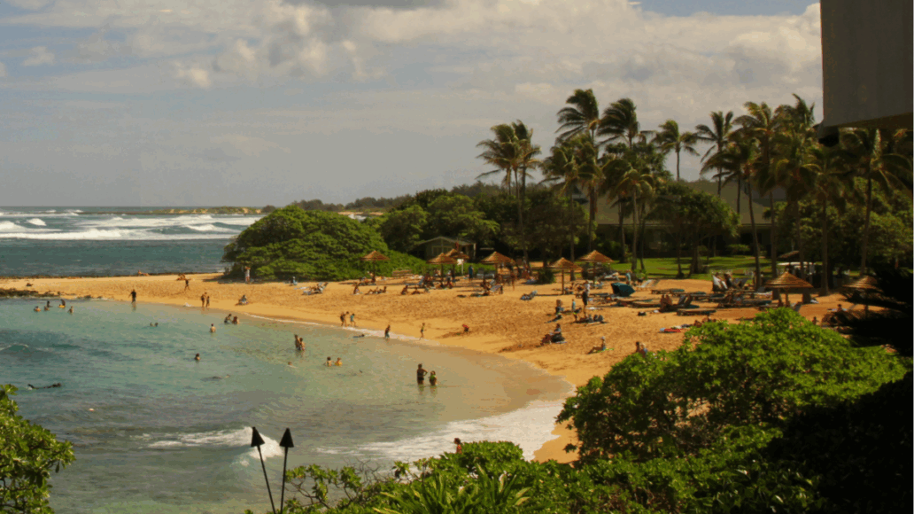 Turtle Bay