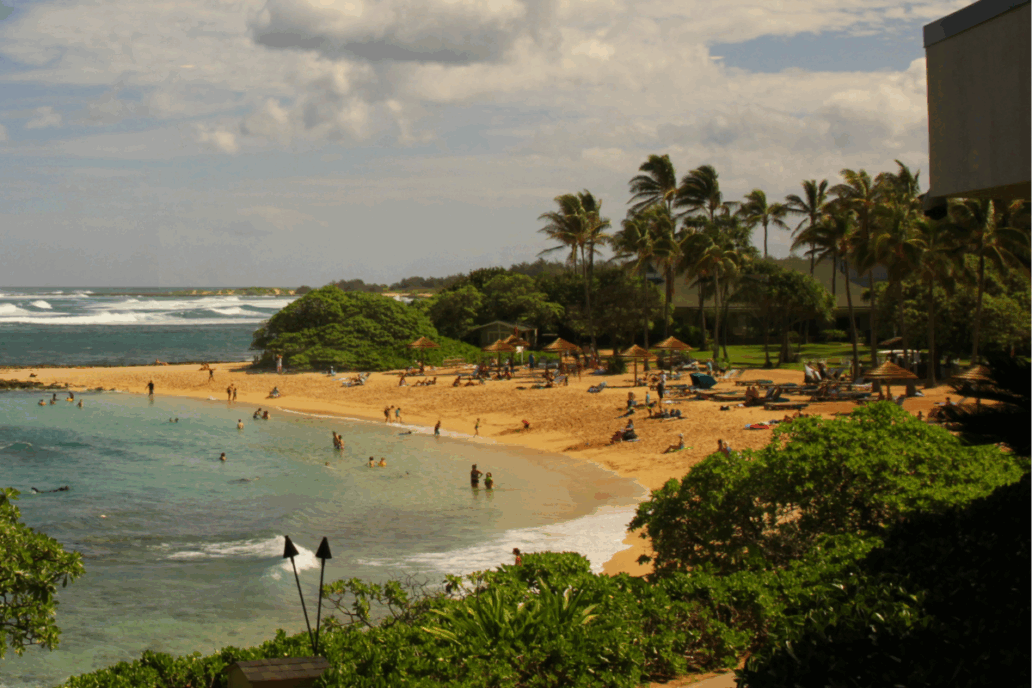 Turtle Bay