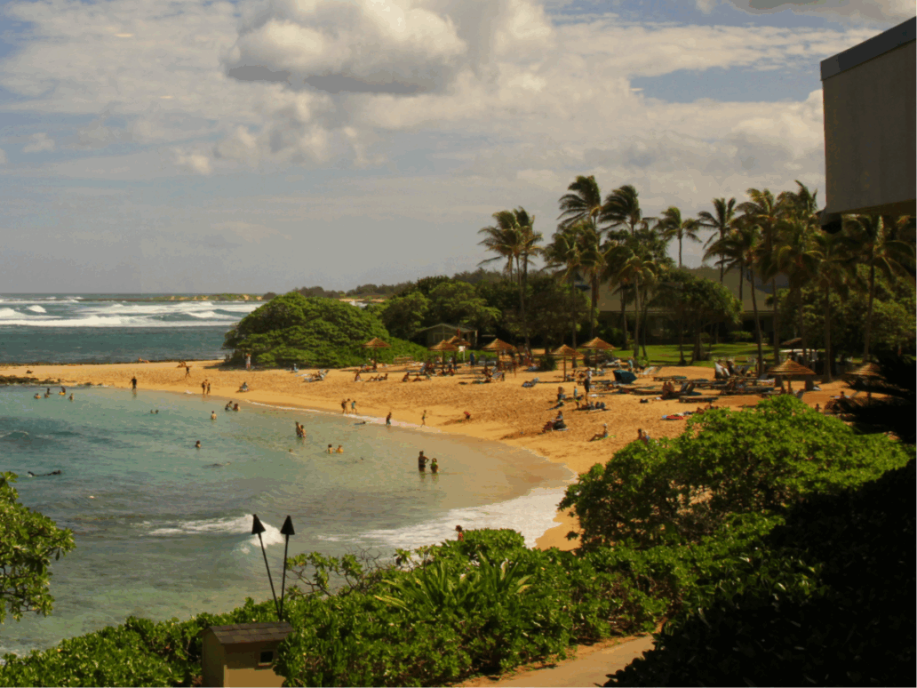 Turtle Bay