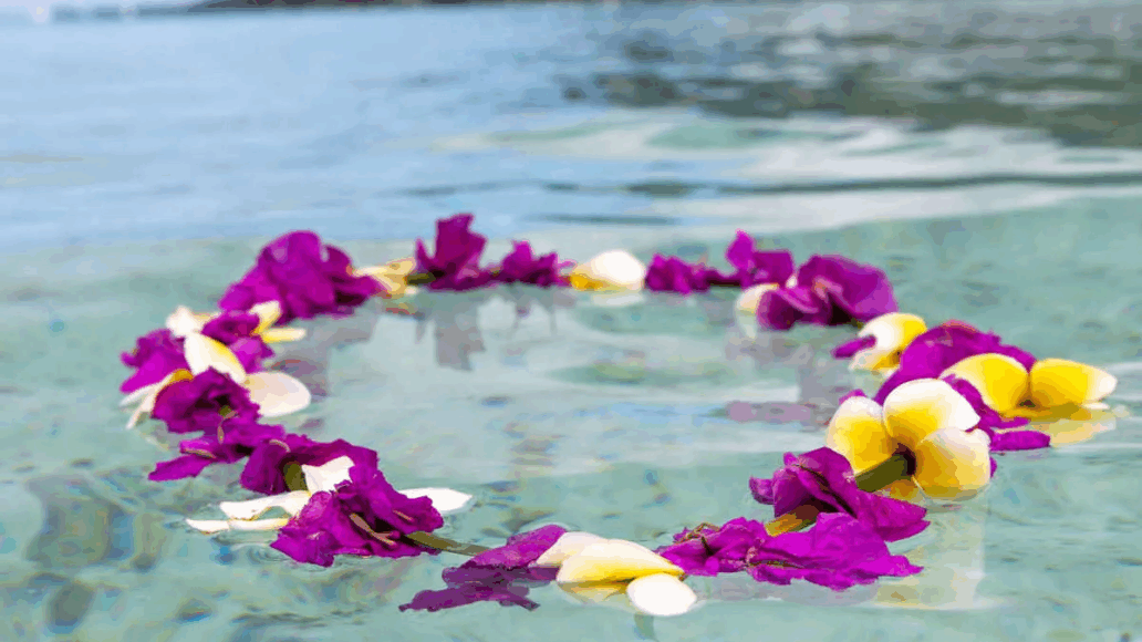 laying lei at the sea