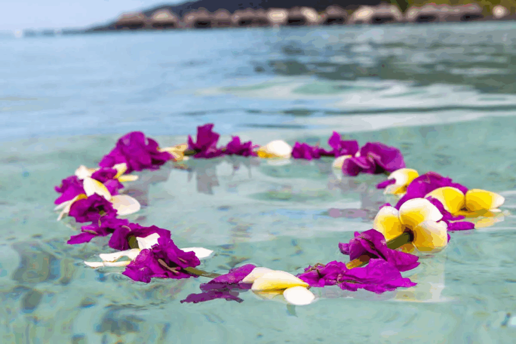 laying lei at the sea