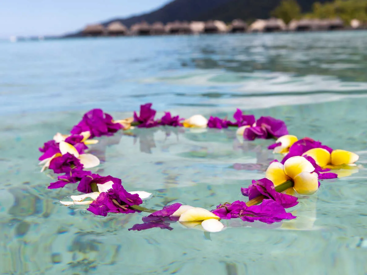 How to Arrange a Burial at Sea on Oahu Hawaii Travel Guide